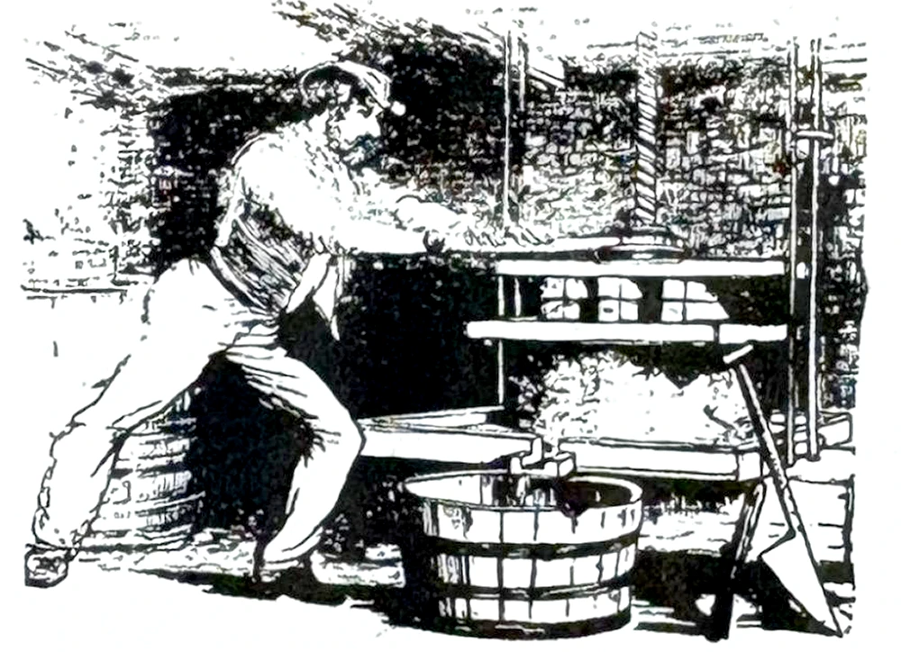 Forest Juice Co.