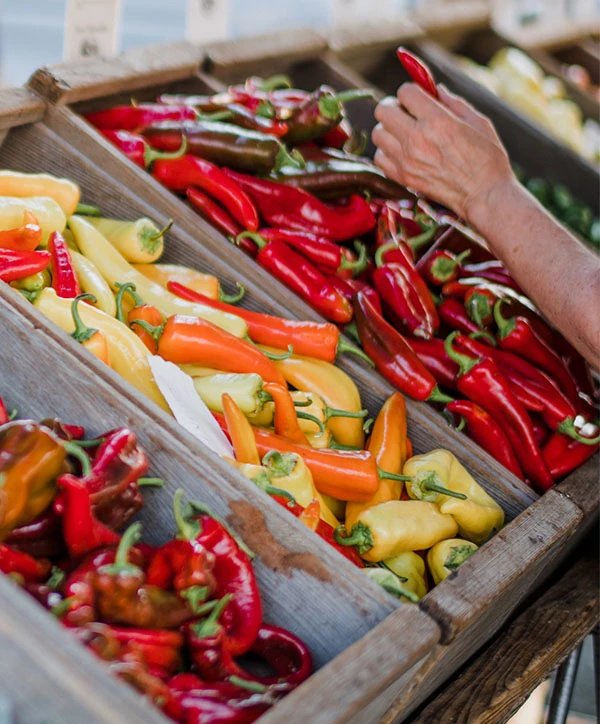 Ungers Market - Produce - peppers