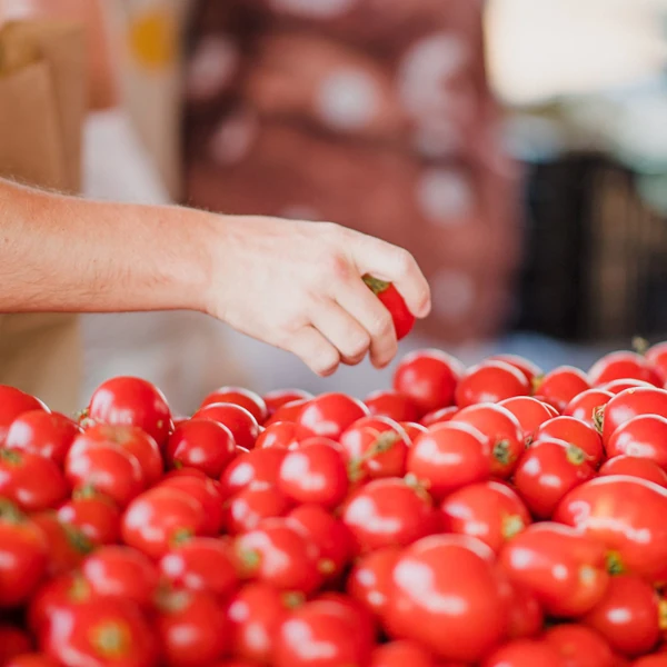 Ungesr Market - Produce - Tomatoes