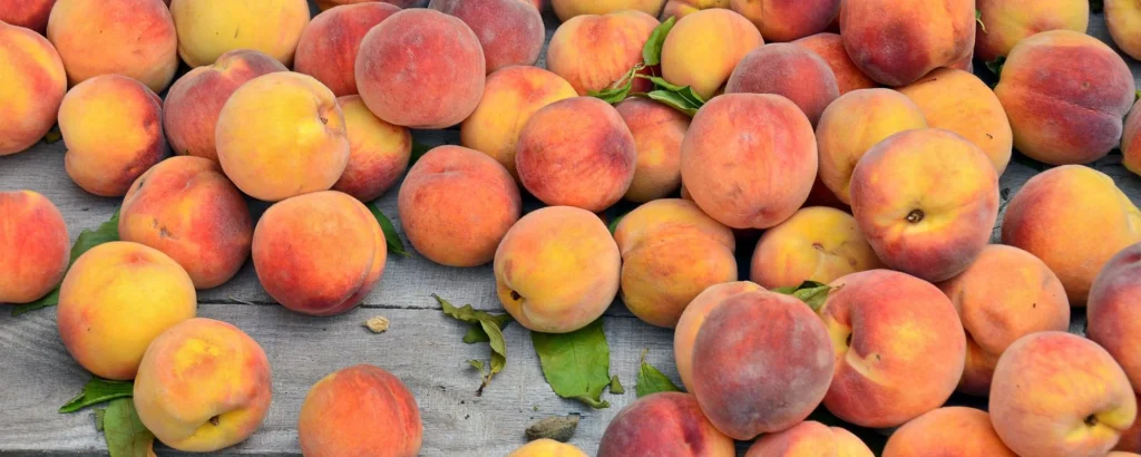 Unger's Market - Produce - peaches